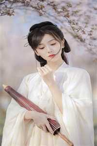 我的穿越夾心餅生活