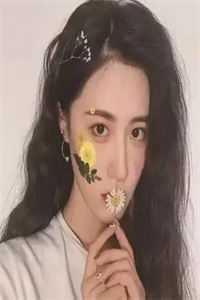 挽回那轮明月