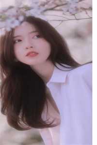 电梯镜中人苏雯蒂莲:全本+番外+后续